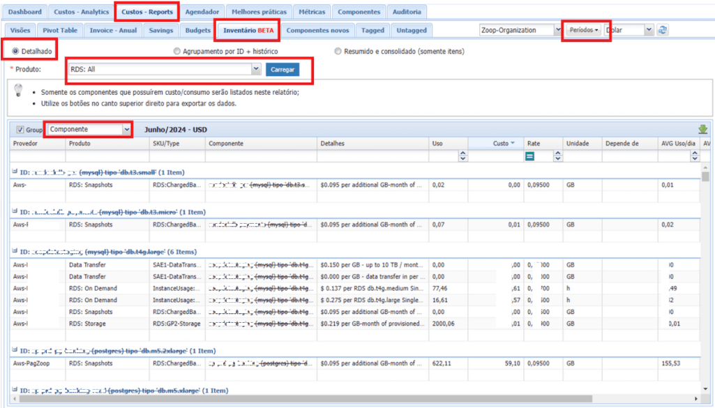 Cloud8 Relatório RDS com agrupamento por ID