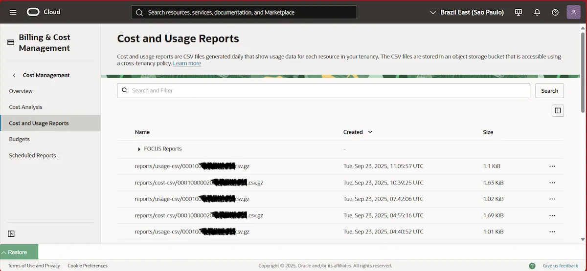 Integrando OCI com Cloud8 Integrando OCI com Cloud8