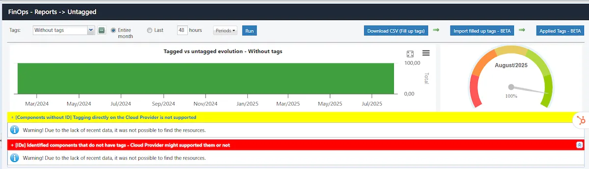 FinOps Reports: Tagged / Untagged