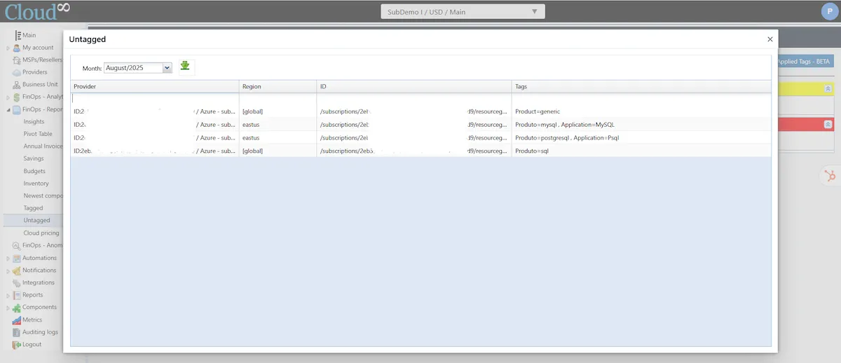 FinOps Reports: Tagged / Untagged