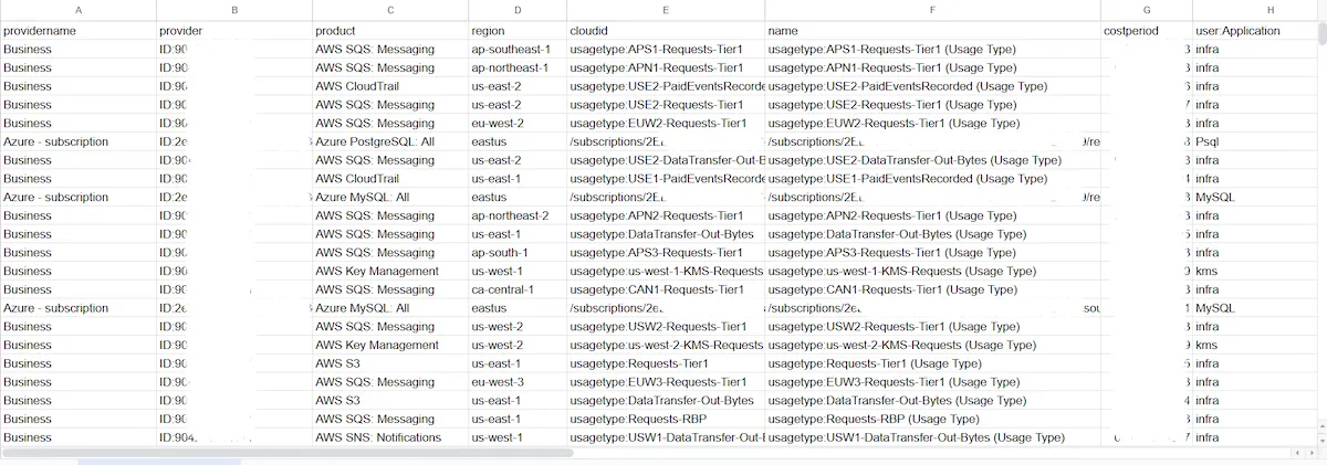 FinOps Reports: Tagged / Untagged