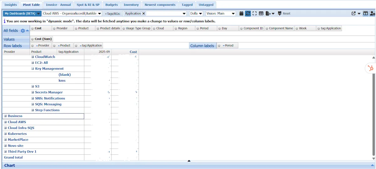 FinOps Reports: Tagged / Untagged