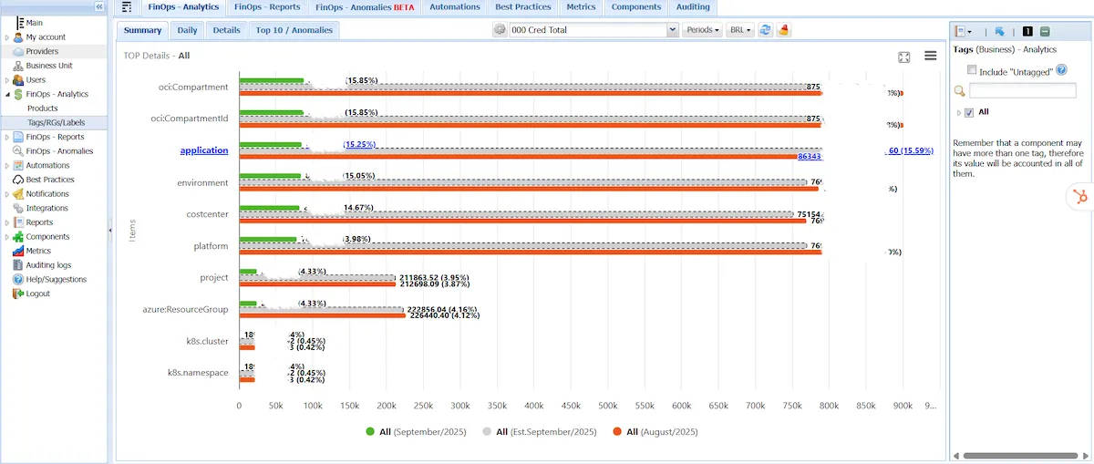 FinOps Reports: Tagged / Untagged